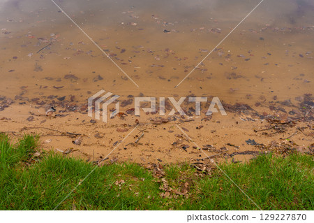 Shoreline with grass and sandy lake beach at Nova Zivohost in the Czech countryside in spring Shoreline with grass and sandy lake beach at Nova Zivohost in the Czech countryside in spring 129227870