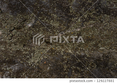 Lichen growing on rough stone surface with natural texture Lichen growing on rough stone surface with natural texture 129227881