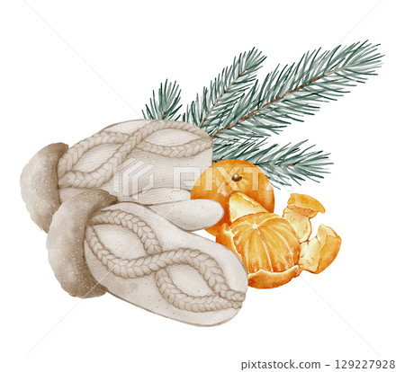Wool mittens with tangerine and pine branch illustration 129227928