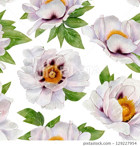 White peony flowers pattern White peony flowers pattern 129227954