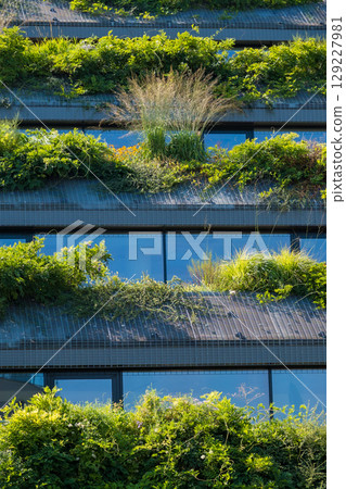 Modern building facade with lush green rooftop garden terraces and sustainable architecture 129227981