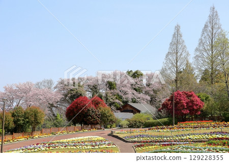 Spring botanical garden 129228355