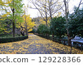A park with beautiful autumn leaves 129228366
