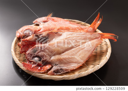 [宮城縣] 開幕的金眼鯛 129228509