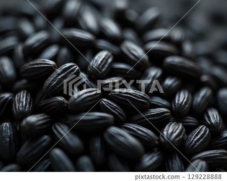 Extreme Macro of Raw Black Rice Grains with Uniform Arrangement and Subtle Lighting 129228888