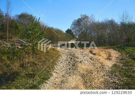 Hiking. Dirt country road among low growing forest 129229630