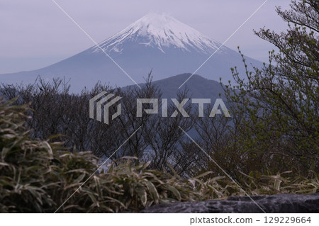 從天閣台眺望富士山 129229664