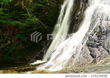 瀧不動尊寺附近的大瀨瀑布 瀧不動尊寺附近的大瀨瀑布 129229696