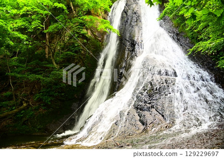 Ogase Falls near Takifudoson Temple 129229697