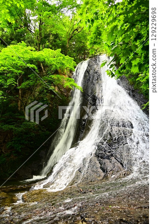 Ogase Falls near Takifudoson Temple 129229698