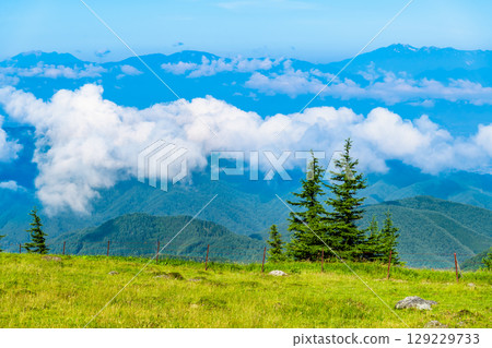 Shinshu Utsukushigahara Plateau in Summer Shinshu Utsukushigahara Plateau in Summer 129229733