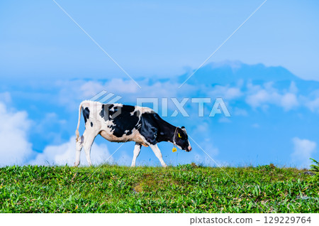 Shinshu Summer Utsukushigahara Plateau Ranch Shinshu Summer Utsukushigahara Plateau Ranch 129229764