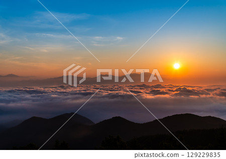 Shinshu, Utsukushigahara Plateau in summer: Sunrise and sea of clouds seen from a roadside station 129229835