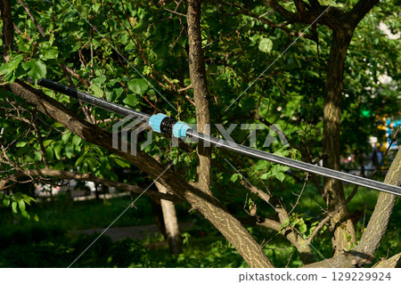 Connecting a rubber watering hose on tree in garden Connecting a rubber watering hose on tree in garden 129229924