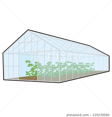 白框溫室中植物生長的插圖 129230080