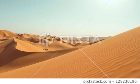 Golden sand dunes stretch across the horizon under a clear sky in an arid desert landscape during the afternoon light 129230196