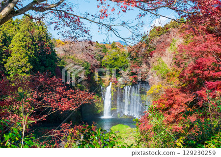 Shiraito Falls (Autumn) Fujinomiya City Shiraito Falls (Autumn) Fujinomiya City 129230259