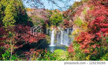 Shiraito Falls (Autumn) Fujinomiya City 129230260