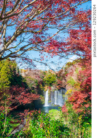 Shiraito Falls (Autumn) Fujinomiya City 129230264