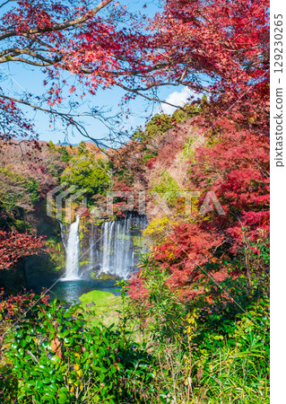 Shiraito Falls (Autumn) Fujinomiya City 129230265
