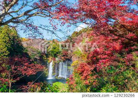 Shiraito Falls (Autumn) Fujinomiya City 129230266