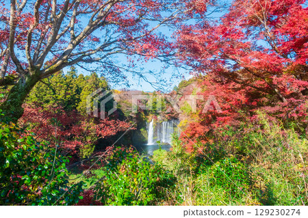 白絲瀑布（秋季） 富士宮市 129230274