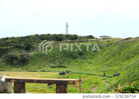Izu Peninsula Tsumekizaki Park Izu Peninsula Tsumekizaki Park 129230714