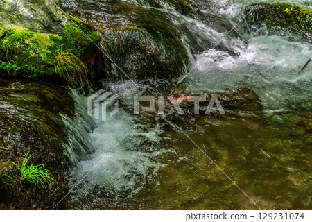 Clear stream flowing through rocks and splashing water a-1 129231074