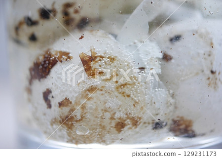 Melt the pattern on a quail egg 202504 Melt the pattern on a quail egg 202504 129231173