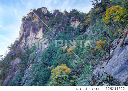 國家特別名勝:昇仙峽鶴苑楓葉 國家特別名勝:昇仙峽鶴苑楓葉 129231222