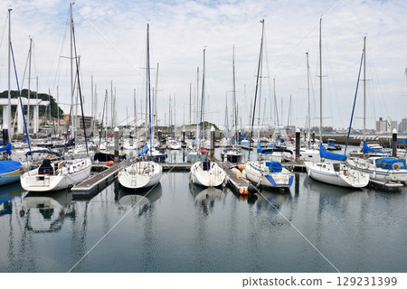Yachts moored at Enoshima Yacht Harbor Yachts moored at Enoshima Yacht Harbor 129231399