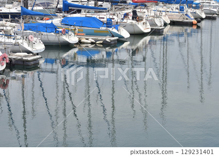 Yachts moored at Enoshima Yacht Harbor Yachts moored at Enoshima Yacht Harbor 129231401