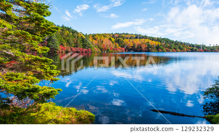 秋天的白駒池 129232329