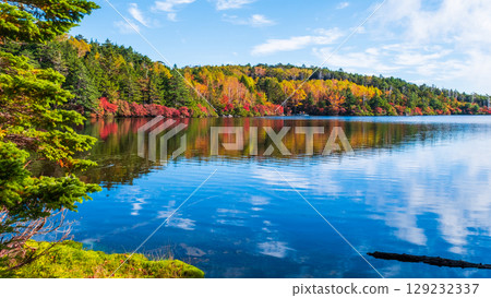 Shirakoma pond in autumn Shirakoma pond in autumn 129232337