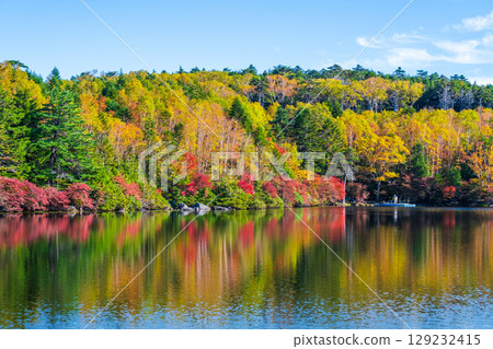 Shirakoma pond in autumn Shirakoma pond in autumn 129232415
