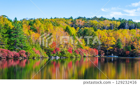 秋天的白駒池 129232416