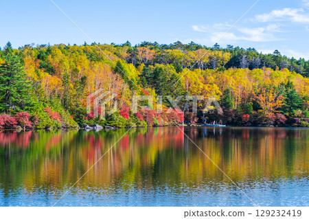 Shirakoma pond in autumn 129232419