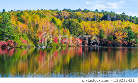 Shirakoma pond in autumn Shirakoma pond in autumn 129232421