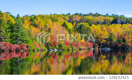 秋天的白駒池 129232425