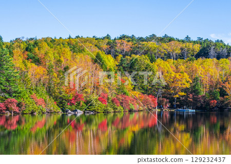 秋天的白駒池 129232437