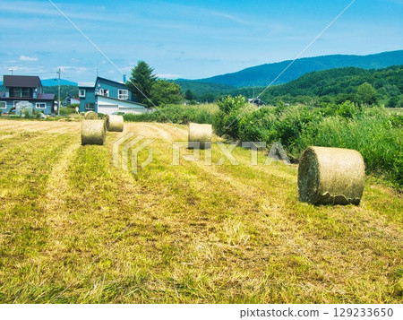 Landscape photo Landscape photo 129233650