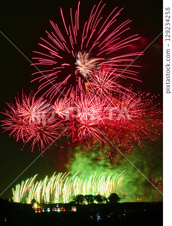 Great flowers 129234258