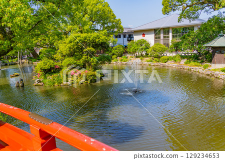 [Fukuoka Prefecture] Dazaifu Tenmangu Shrine, Shinji Pond in early summer 129234653