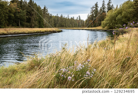 Beautiful summer landscape of a meadow near river and forest with blue sky and clouds. Scenic rural landscape. Autumn natural background in British Columbia Canada. Travel photo, nobody. Beautiful summer landscape of a meadow near river and forest with blue sky and clouds. Scenic rural landscape. Autumn natural background in British Columbia Canada. Travel photo, nobody. 129234695