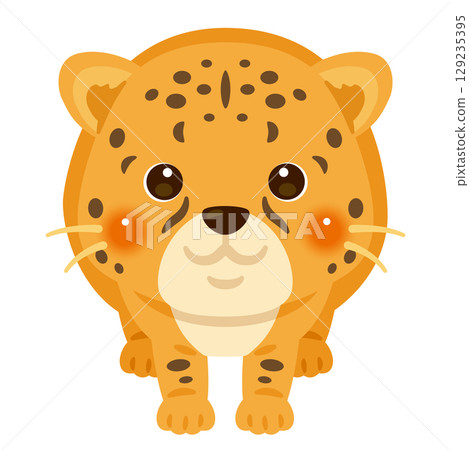 從正面看到的獵豹插圖 129235395