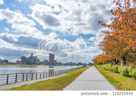 Autumn scenery around Bandai Bridge in Niigata City, Niigata Prefecture 129235459