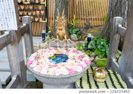 Hakusan Shrine's Chozuya (water purification fountain) in Niigata City, Niigata Prefecture Hakusan Shrine's Chozuya (water purification fountain) in Niigata City, Niigata Prefecture 129235465
