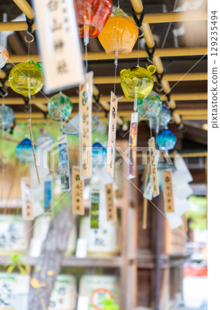 新潟縣新潟市白山神社 129235494