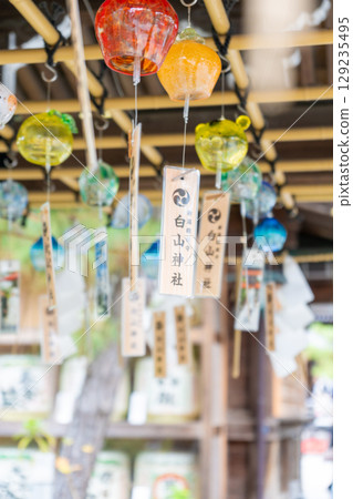 新潟縣新潟市白山神社 129235495