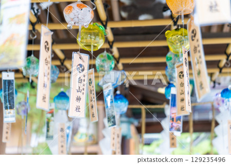 新潟縣新潟市白山神社 129235496